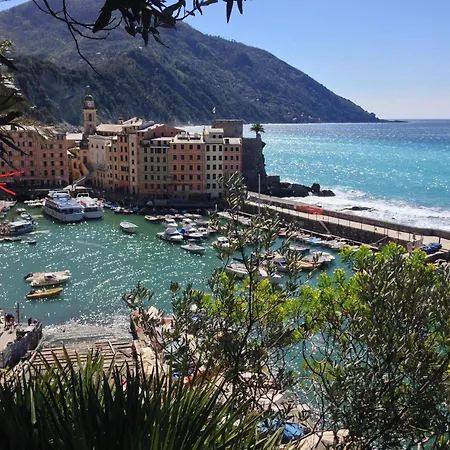 A Un Passo Dal Mare Apartment Camogli